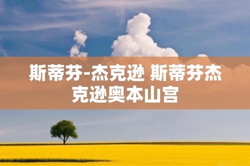 斯蒂芬-杰克逊 斯蒂芬杰克逊奥本山宫 斯蒂芬-杰克逊 斯蒂芬杰克逊奥本山宫