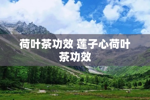 荷叶茶功效 莲子心荷叶茶功效