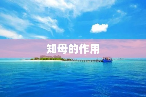 知母的作用：保护肝脏，抗炎镇痛，抗氧化，调节免疫系统