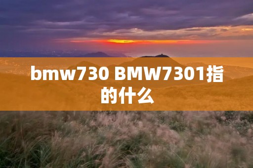 bmw730 BMW7301指的什么