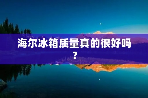 海尔冰箱质量真的很好吗？