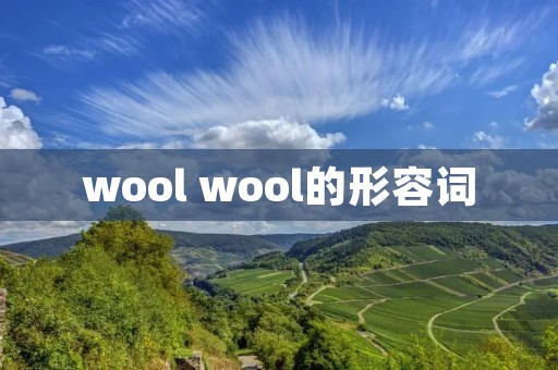 wool wool的形容词 wool wool的形容词