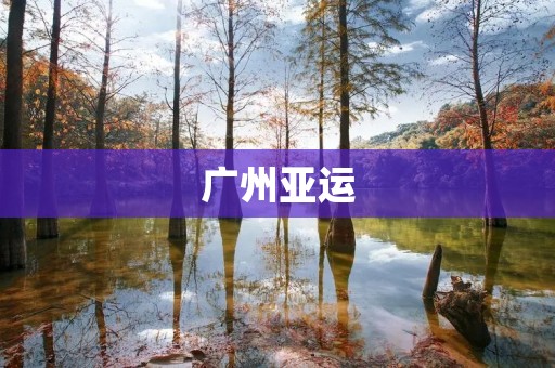 广州亚运：亚洲体育盛事的辉煌绽放