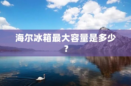 海尔冰箱最大容量是多少？