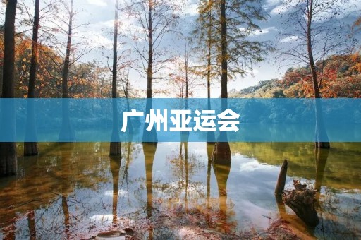 广州亚运会：**与荣耀的体育盛宴