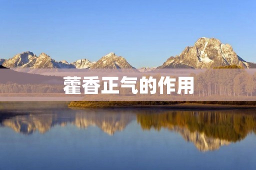 藿香正气的作用：舒缓胃肠不适，促进消化