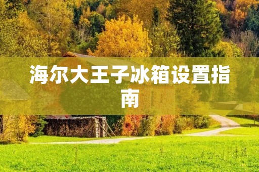 海尔大王子冰箱设置指南