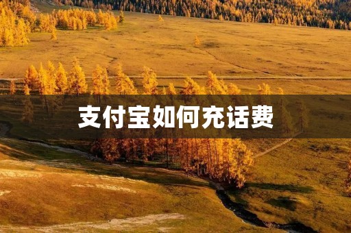 支付宝如何充话费