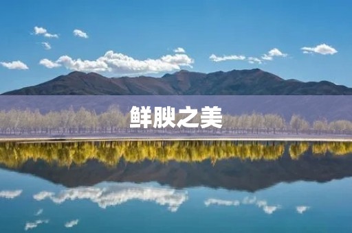 鲜腴之美:探寻食物的独特滋味