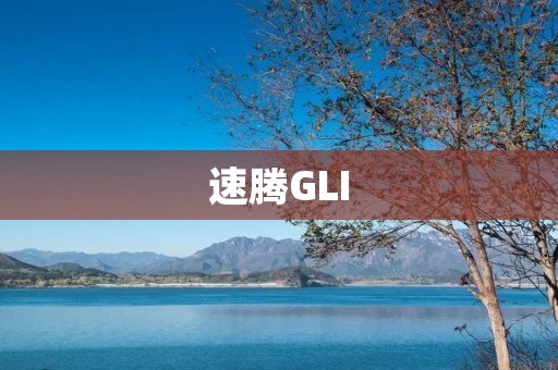 速腾GLI:奢华与**的完美结合 速腾GLI:奢华与**的完美结合