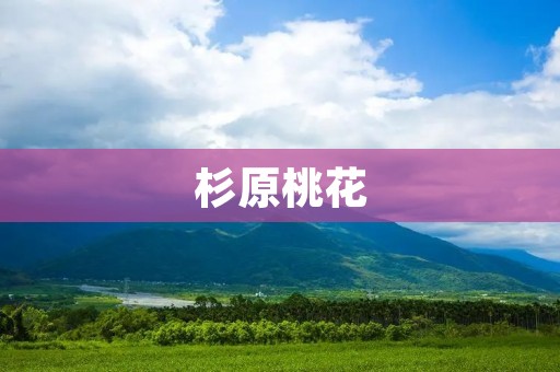 杉原桃花:新一代音乐才女的故事