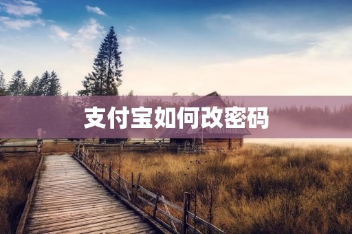 支付宝如何改密码