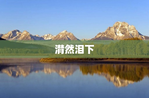 潸然泪下:一场触动心灵的情感之旅