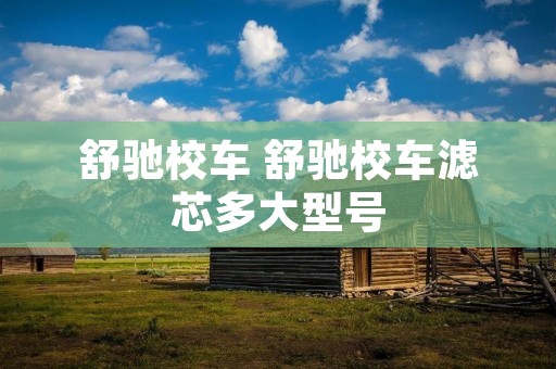 舒驰校车 舒驰校车滤芯多大型号 舒驰校车 舒驰校车滤芯多大型号