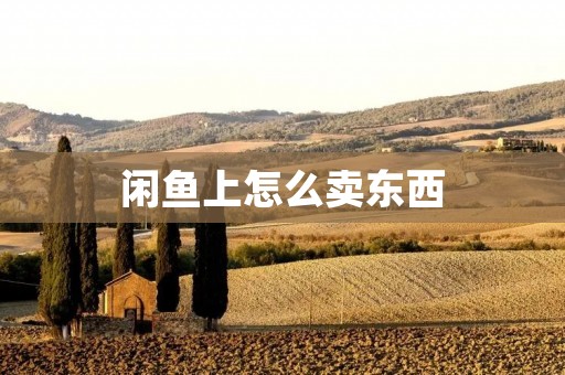 闲鱼上怎么卖东西：从零开始的闲鱼创业指南