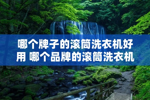哪个牌子的滚筒洗衣机好用 哪个品牌的滚筒洗衣机质量好,耐用