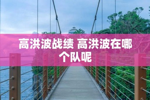 高洪波战绩 高洪波在哪个队呢