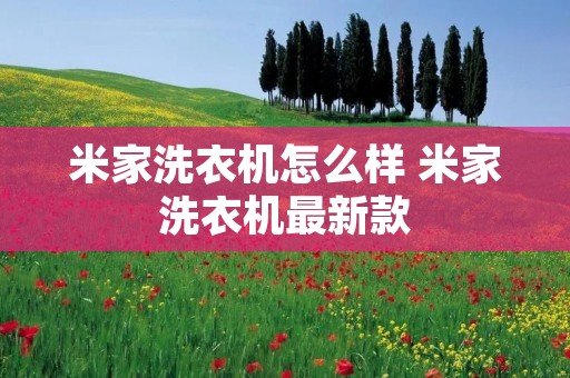 米家洗衣机怎么样 米家洗衣机最新款