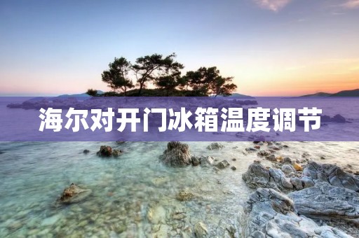 海尔对开门冰箱温度调节：完美保鲜，个性化定制
