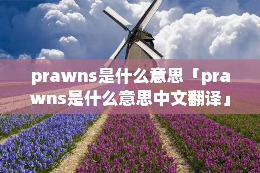 prawns是什么意思「prawns是什么意思中文翻译」