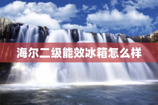 海尔二级能效冰箱怎么样