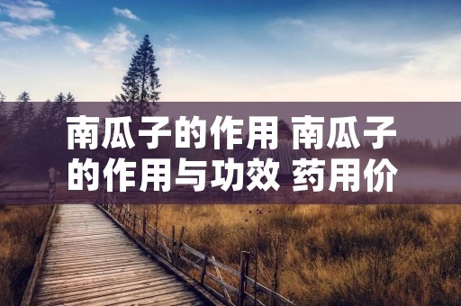 南瓜子的作用 南瓜子的作用与功效 药用价值