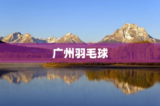 广州羽毛球：探寻南方羽坛的璀璨之光