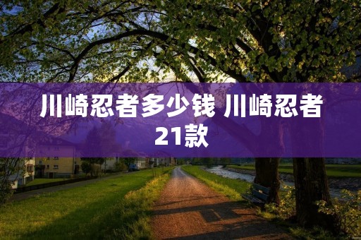 川崎忍者多少钱 川崎忍者21款