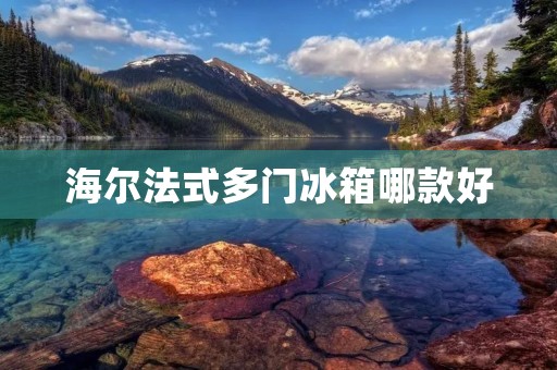 海尔法式多门冰箱哪款好