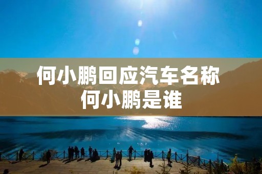 何小鹏回应汽车名称 何小鹏是谁