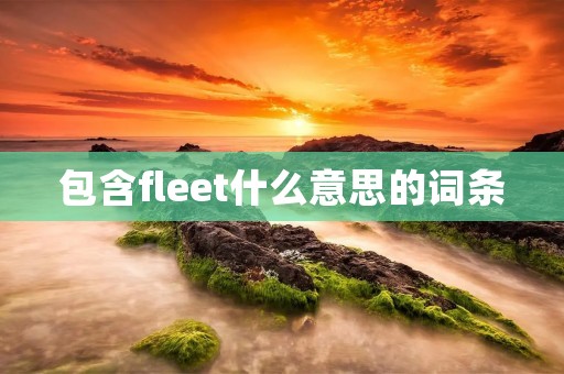 包含fleet什么意思的词条 包含fleet什么意思的词条