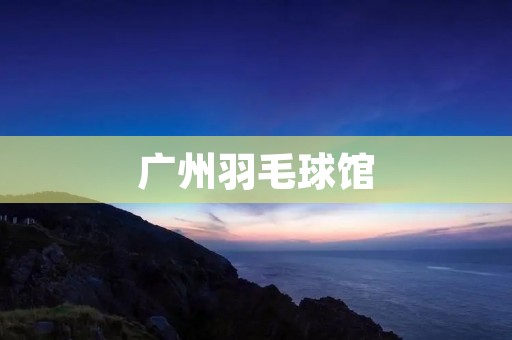 广州羽毛球馆:让你畅享运动乐趣 广州羽毛球馆:让你畅享运动乐趣
