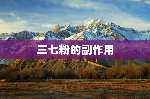 三七粉的副作用:了解这些对健康的潜在风险