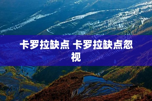 卡罗拉缺点 卡罗拉缺点忽视