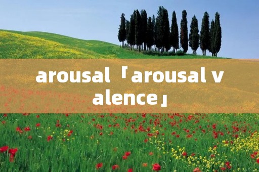 arousal「arousal valence」