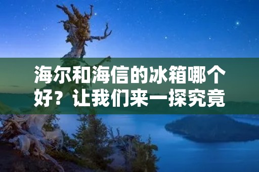 海尔和海信的冰箱哪个好？让我们来一探究竟！
