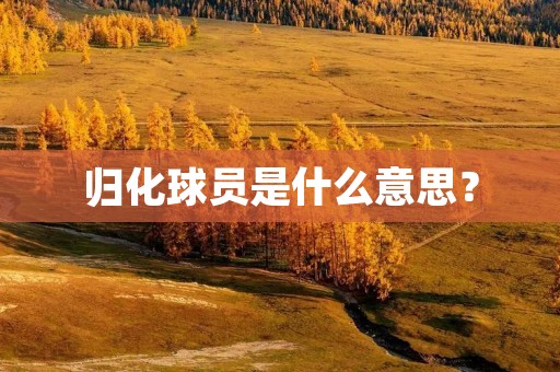 归化球员是什么意思? 归化球员是什么意思?