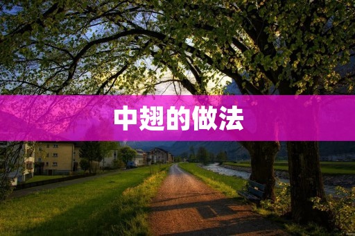 中翅的做法:咸香美味让你回味无穷 中翅的做法:咸香美味让你回味无穷