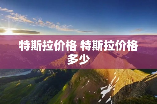 特斯拉价格 特斯拉价格多少