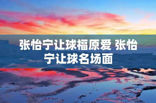 张怡宁让球福原爱 张怡宁让球名场面