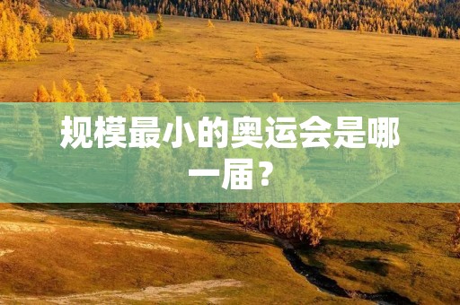 规模最小的奥运会是哪一届？