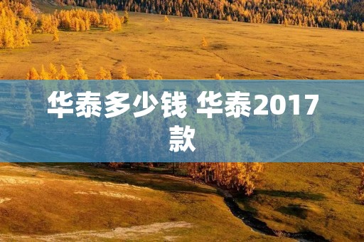 华泰多少钱 华泰2017款 华泰多少钱 华泰2017款