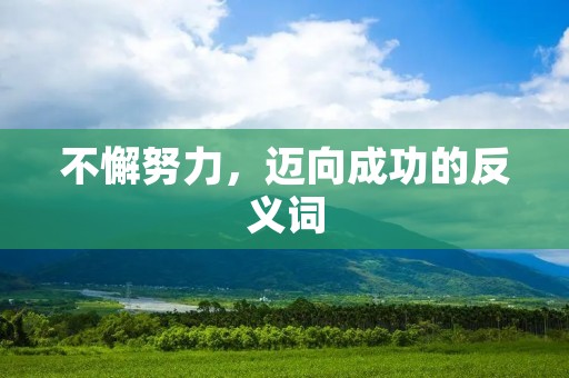 不懈努力,迈向成功的反义词