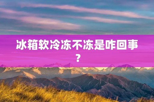 冰箱软冷冻不冻是咋回事? 冰箱软冷冻不冻是咋回事?
