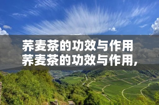 荞麦茶的功效与作用 荞麦茶的功效与作用,禁忌和食用方法