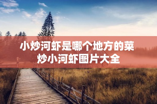 小炒河虾是哪个地方的菜 炒小河虾图片大全