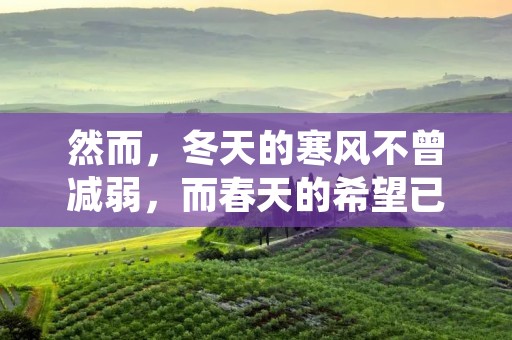 然而，冬天的寒风不曾减弱，而春天的希望已经在远方绽放