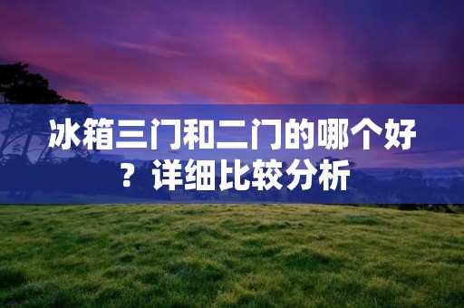冰箱三门和二门的哪个好?详细比较分析 冰箱三门和二门的哪个好?详细比较分析