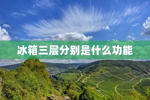 冰箱三层分别是什么功能 冰箱三层分别是什么功能