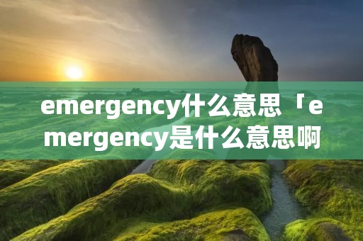 emergency什么意思「emergency是什么意思啊」